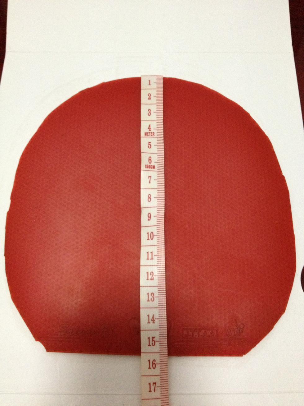 ����EL��50����