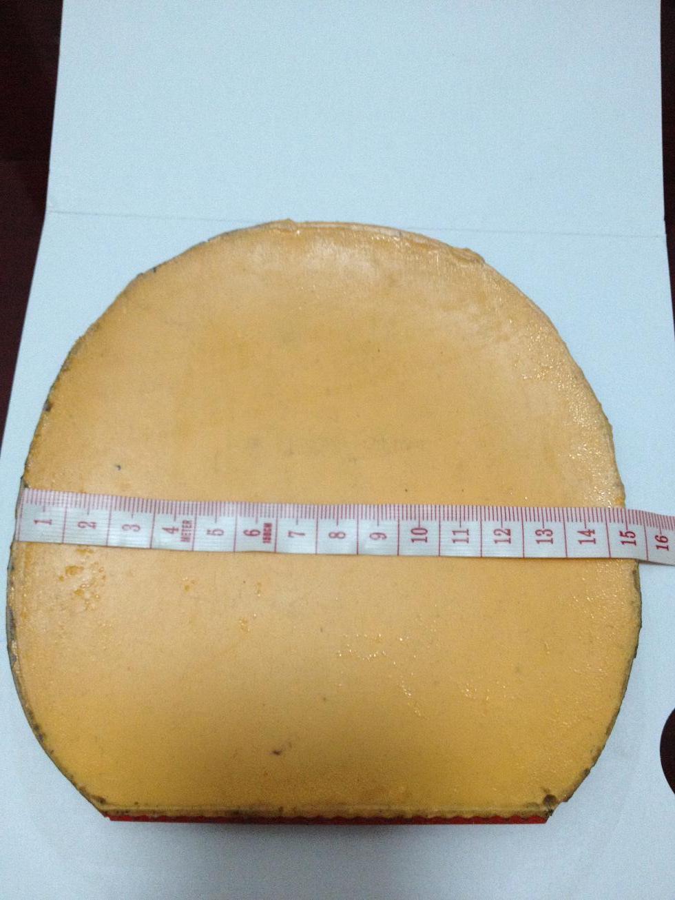 ����EL��50����