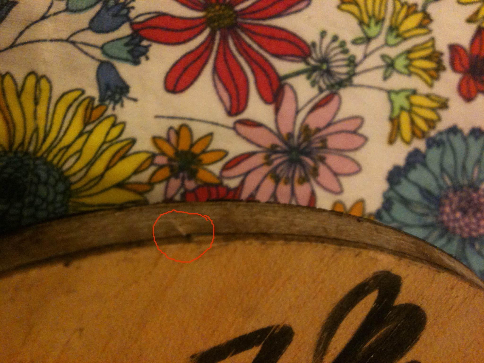 ������ų��װ塿���ֻ�̫����̼����ר�õװ�