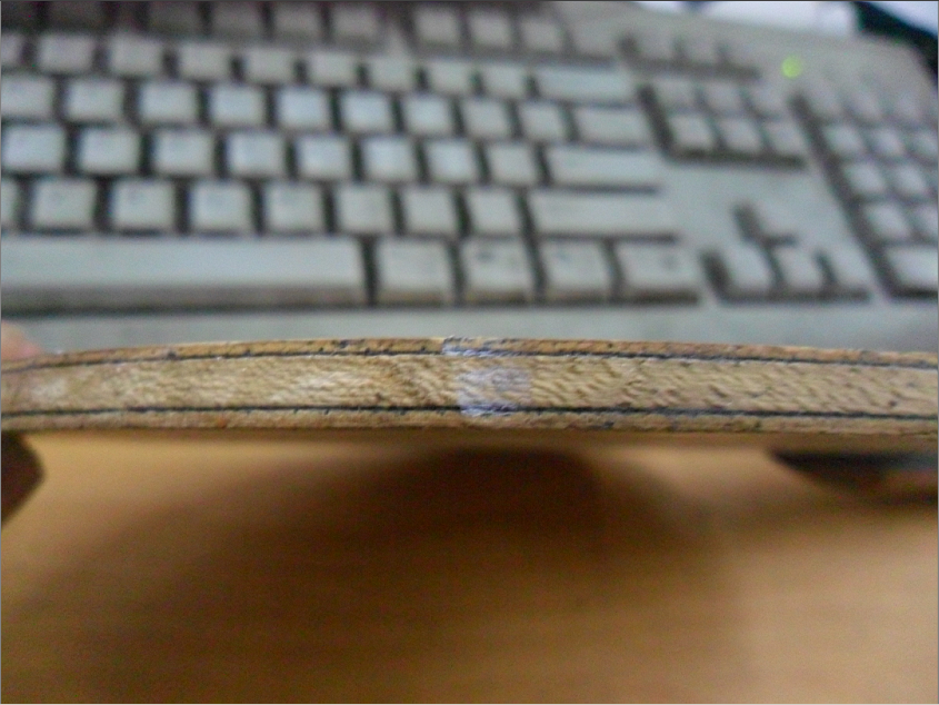 �����ˣ�������2001   TSP����