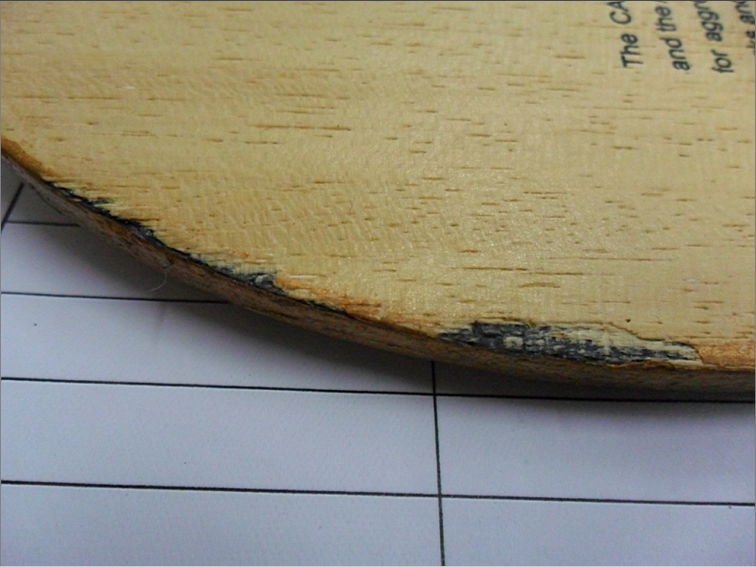 �����ˣ�������2001   TSP����