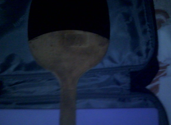 ���������Ƶ���һֻ��������ֱ