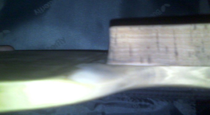 ���������Ƶ���һֻ��������ֱ