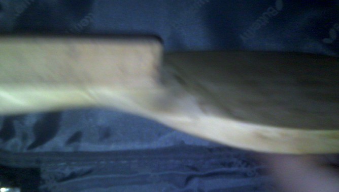 ���������Ƶ���һֻ��������ֱ