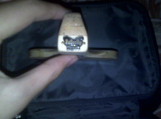 ���������Ƶ���һֻ��������ֱ