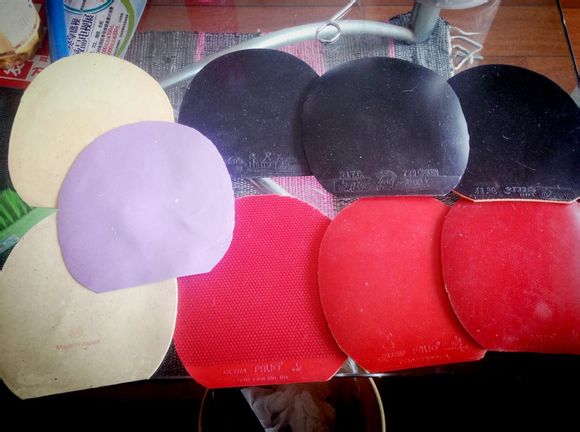 ������������������������������������������������Ԥ������˽�Ƥ���󲿷����˺��������������˵����͵ġ���������������������������������������������������������������