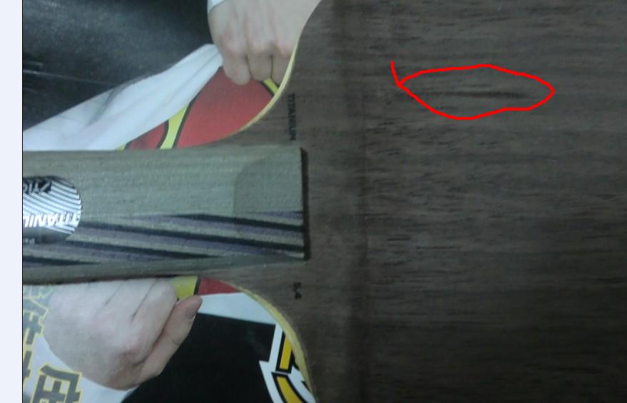 ���ʳ�ŷ����5.4