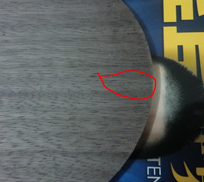 ���ʳ�ŷ����5.4