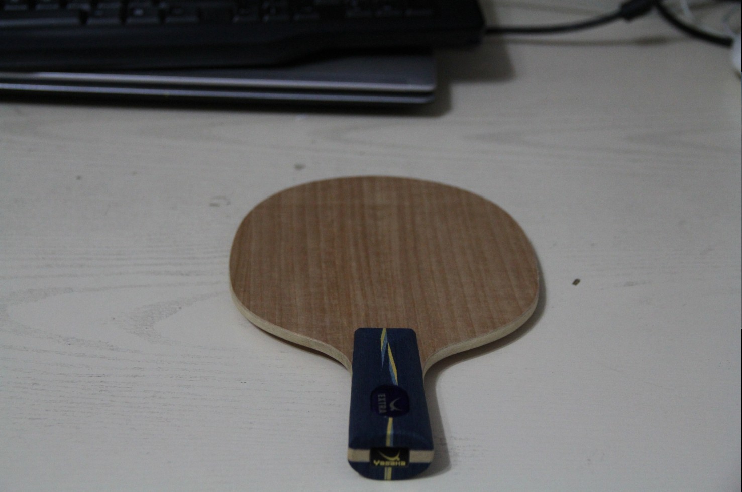 �����ձ�ʵ����ص�YE