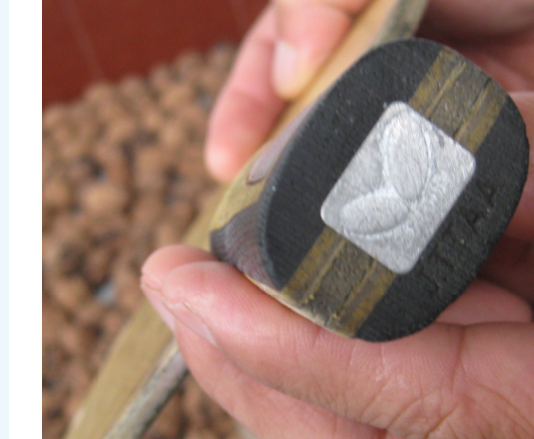 ��˦��Ů��Ȩ��innzlc���տ񼰳���