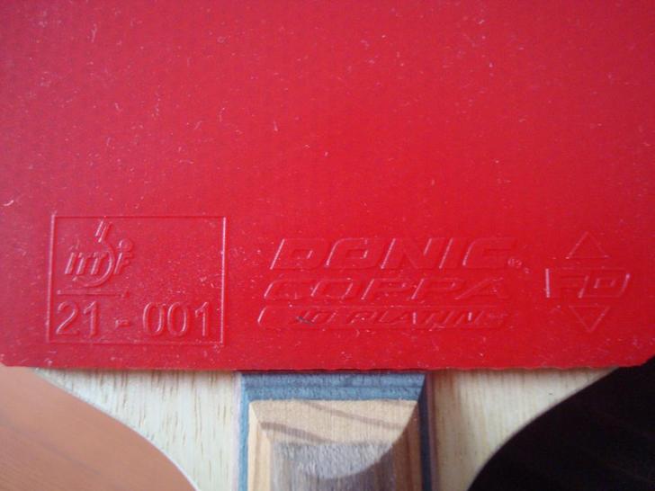 [ԭ��]����870Ԫ��ֱ�����ֲ�����9.9������ֻ��5��6��