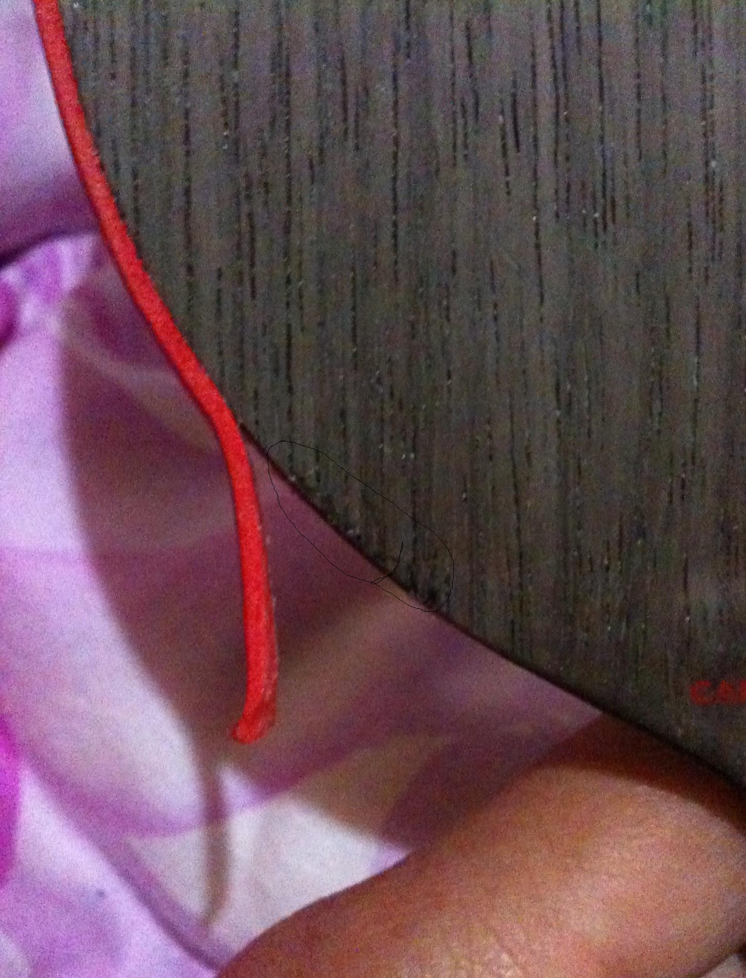 ���Ѻ��̼��7.6WRB��΢�ˣ��л�