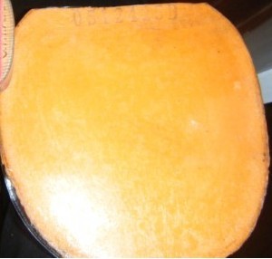 f44FOmn9.jpg