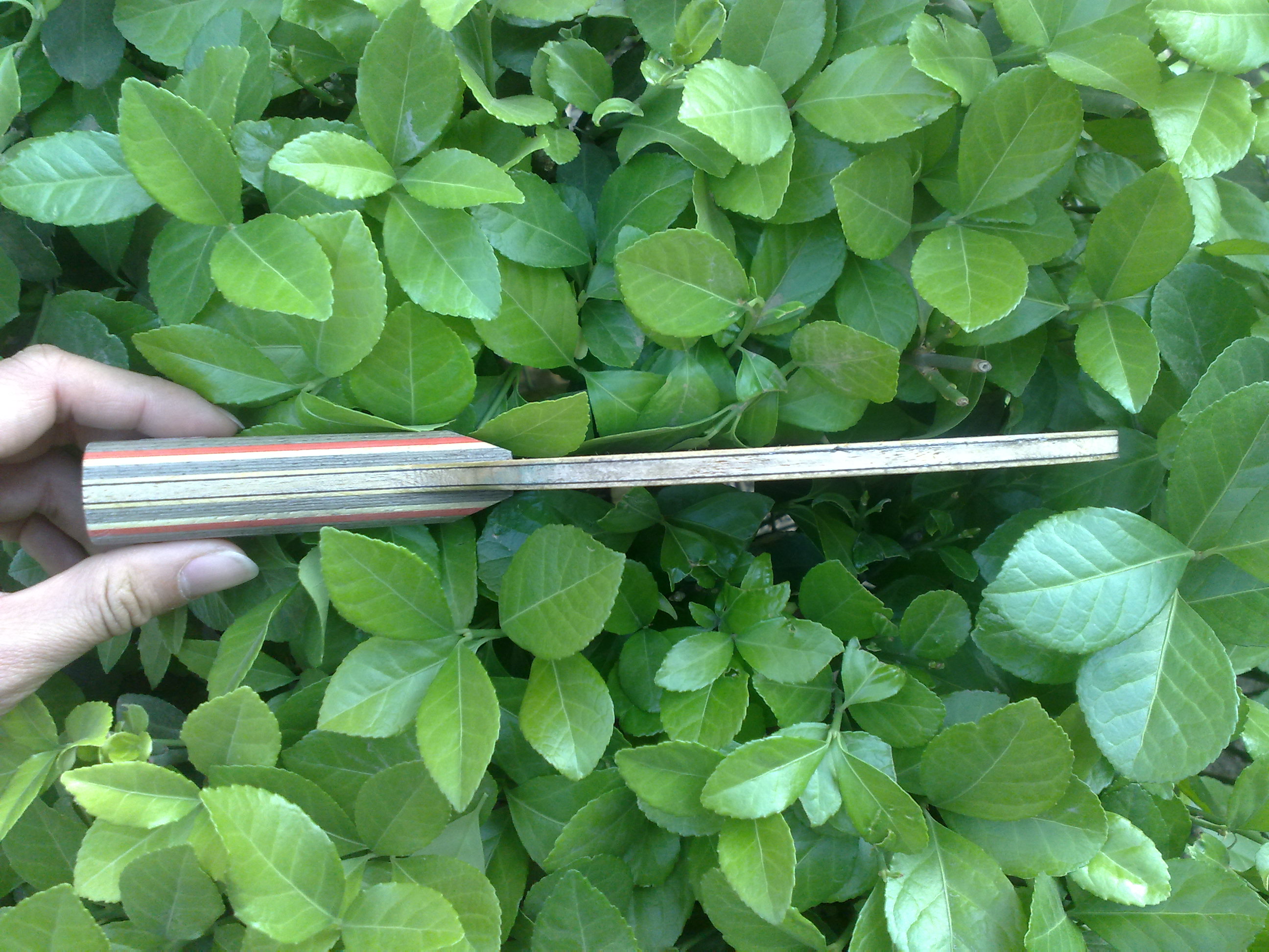 ����������߲�����i����̼һ�ѣ���֧������