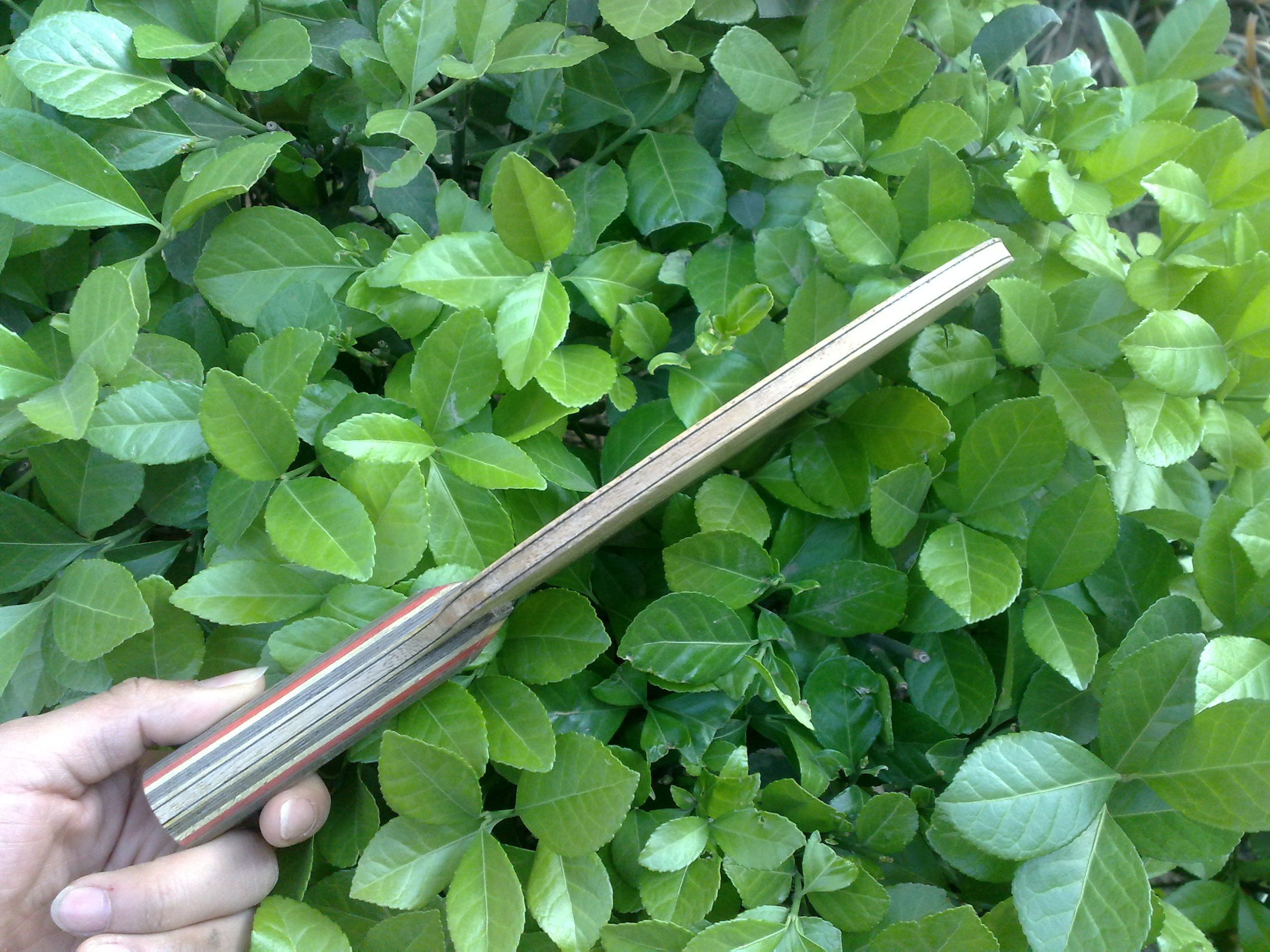 ���ѱ��룩����������߲�����i����̼һ�ѣ���֧������