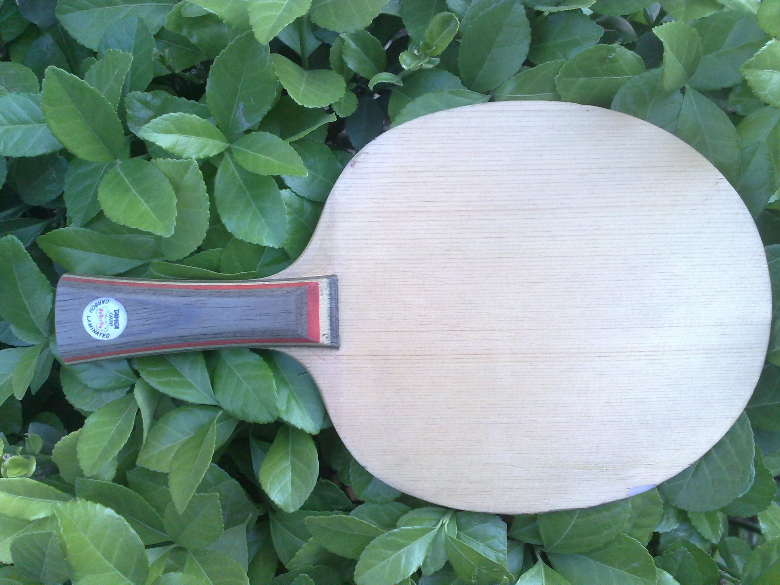 ���ѱ��룩����������߲�����i����̼һ�ѣ���֧������