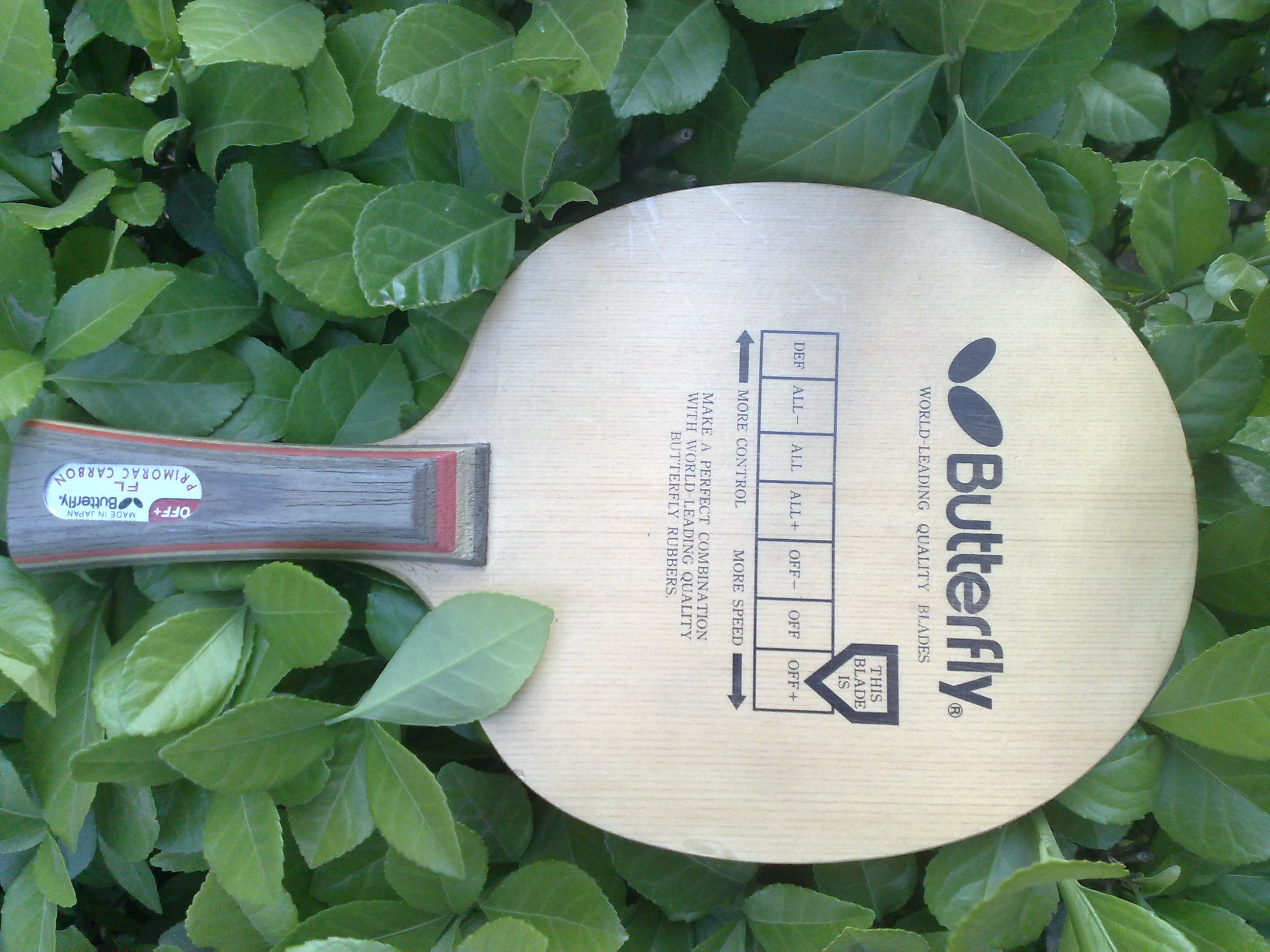 ���ѱ��룩����������߲�����i����̼һ�ѣ���֧������