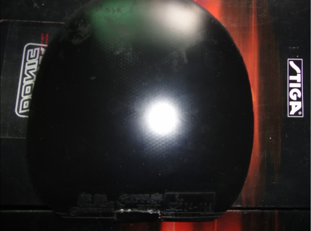 ����������~~~˹�ٿ��ġ�����~~