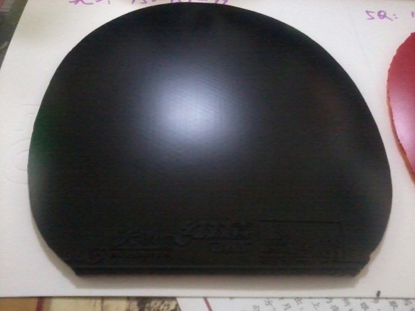 TIBHAR 5Q ˫ϲNEO켫339 ʹüСʱ 200