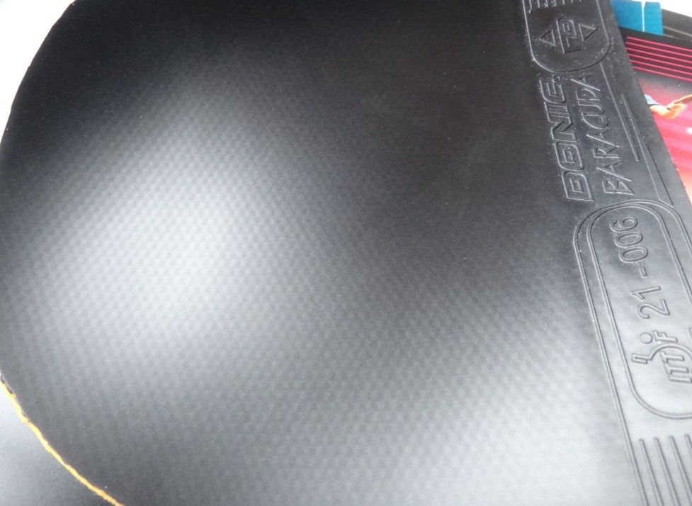 ####����ocһֻ����̼һֻ�����˿��һ��