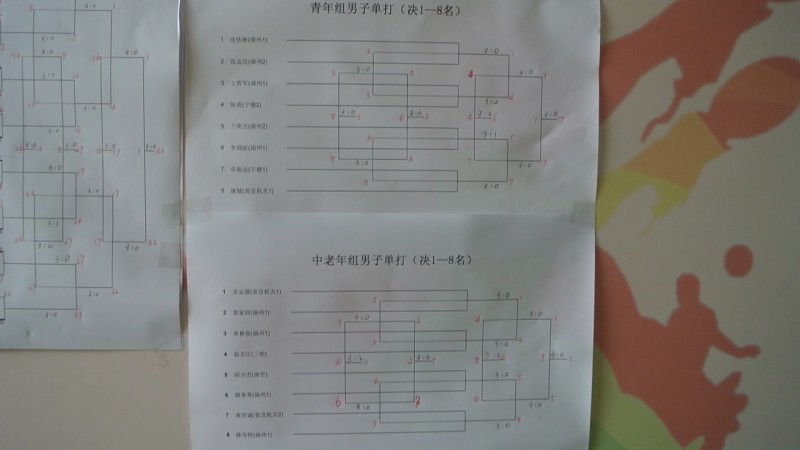 ��֧�л�VIS��91��,�������˲�����������������