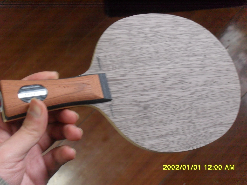 ��һֻ ŷ�����STIGA���� LEGEND ƹ���� �װ�