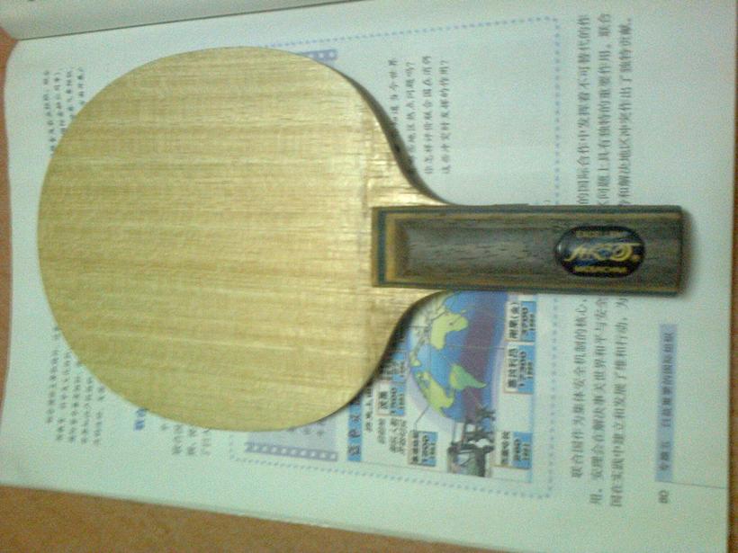 100��������սVIS