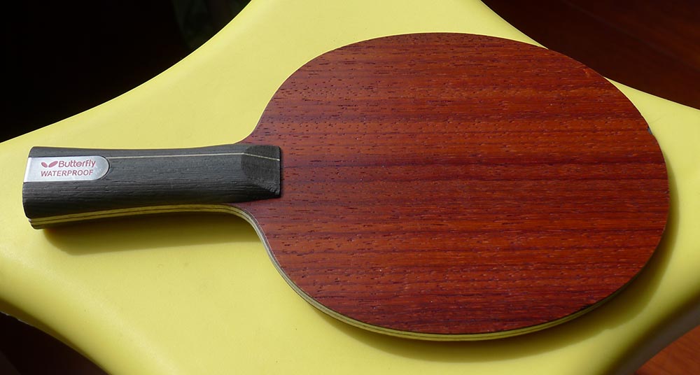 ���� ��̼