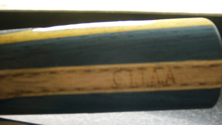 ���ų����ܡ���ۭ��ͥ��ZL��ά�����ڵװ�����