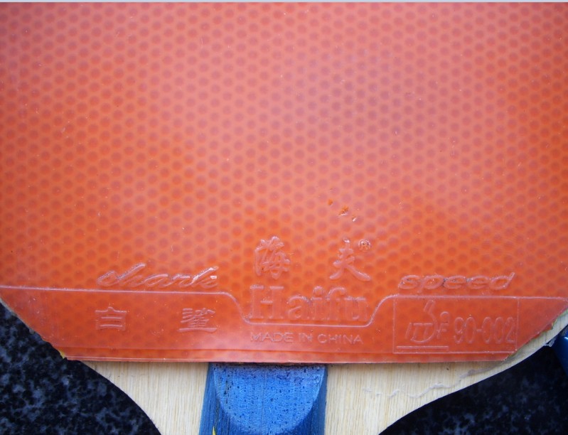 ���ų����ܡ���ۭ��ͥ��ZL��ά�����ڵװ�����