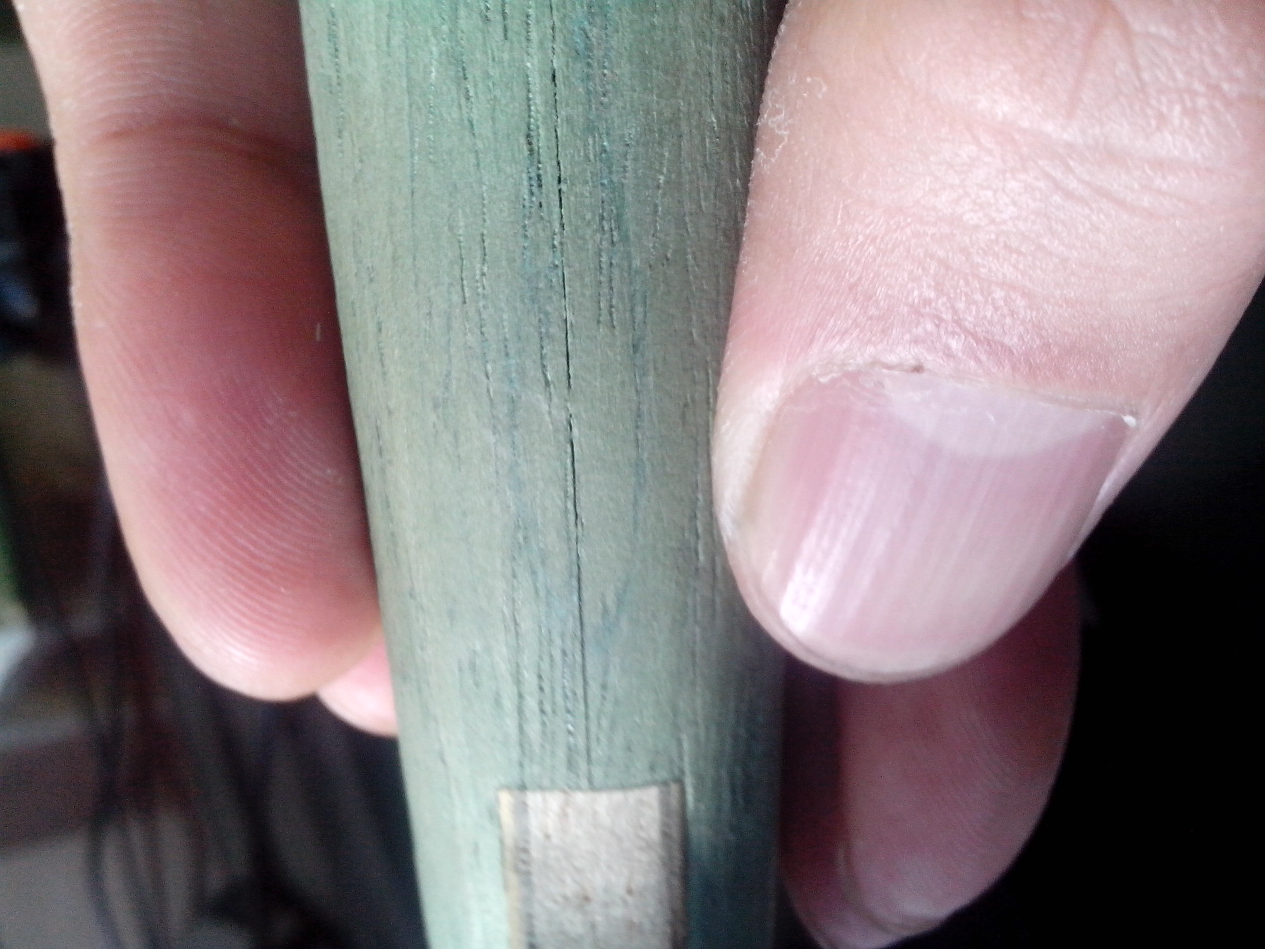 ����AN��������KOOL��壬95��249�����