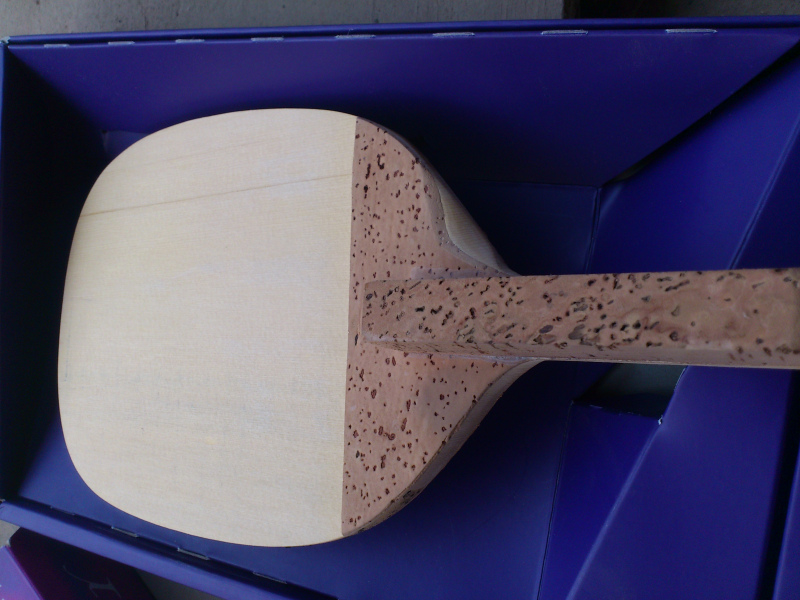 ���ƻ�������    ���ֹ�      200Ԫ