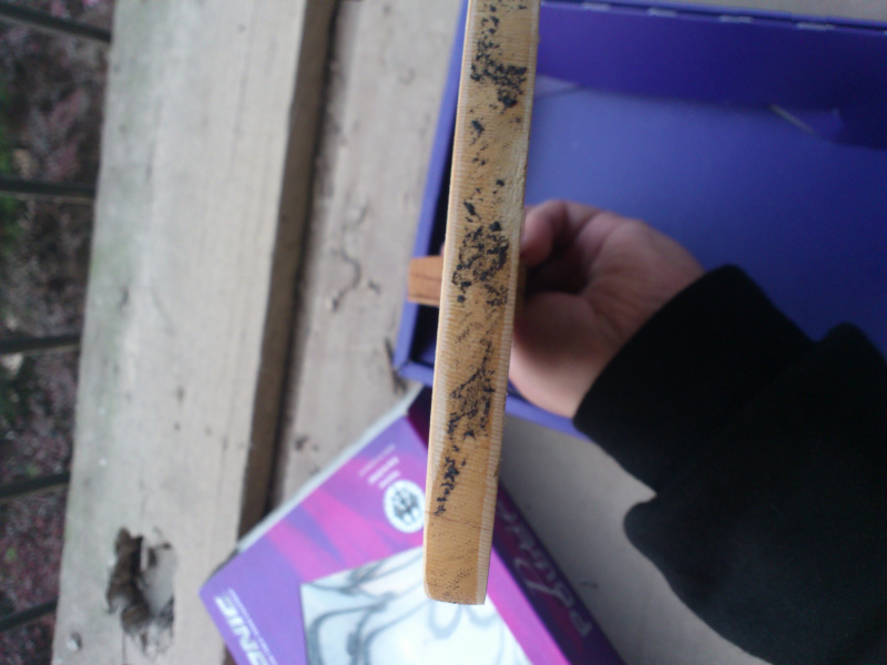 ���ƻ�������    ���ֹ�      200Ԫ