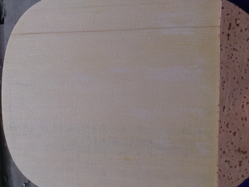 ���ƻ�������    ���ֹ�      200Ԫ