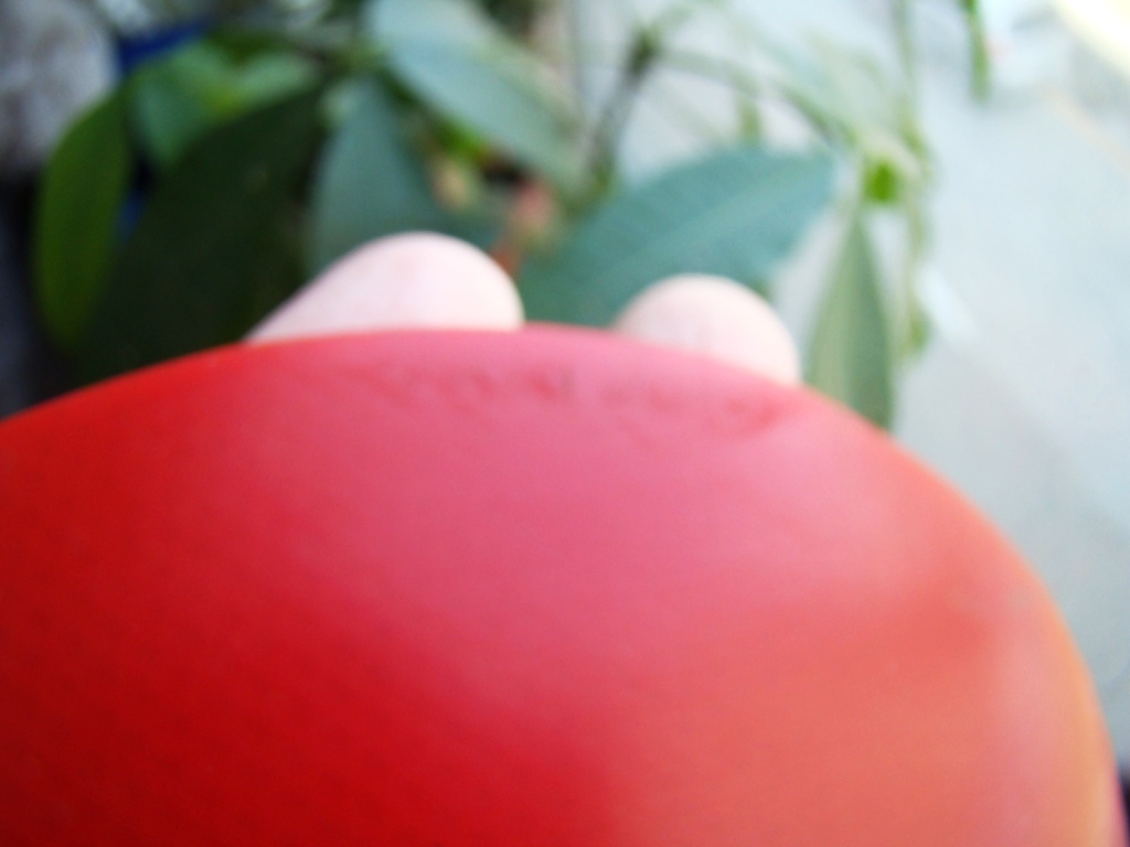 uFhn6NWP.jpg