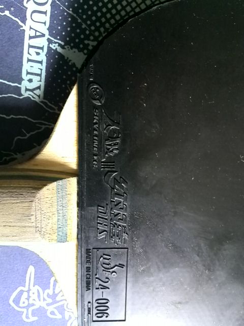 ������ά˹����������900Ԫ����