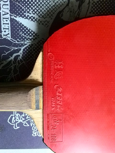 ������ά˹����������900Ԫ����