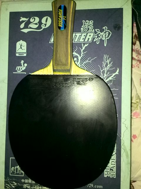 ������ά˹����������900Ԫ����