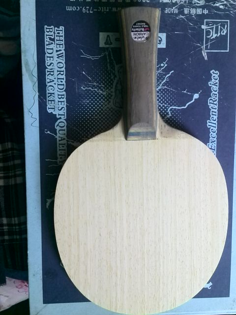 ������ά˹����������900Ԫ����