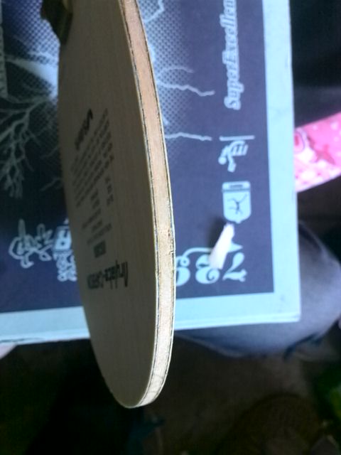 ������ά˹����������900Ԫ����