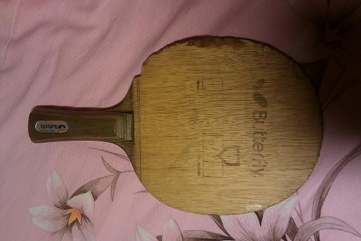 �����Ʊ���