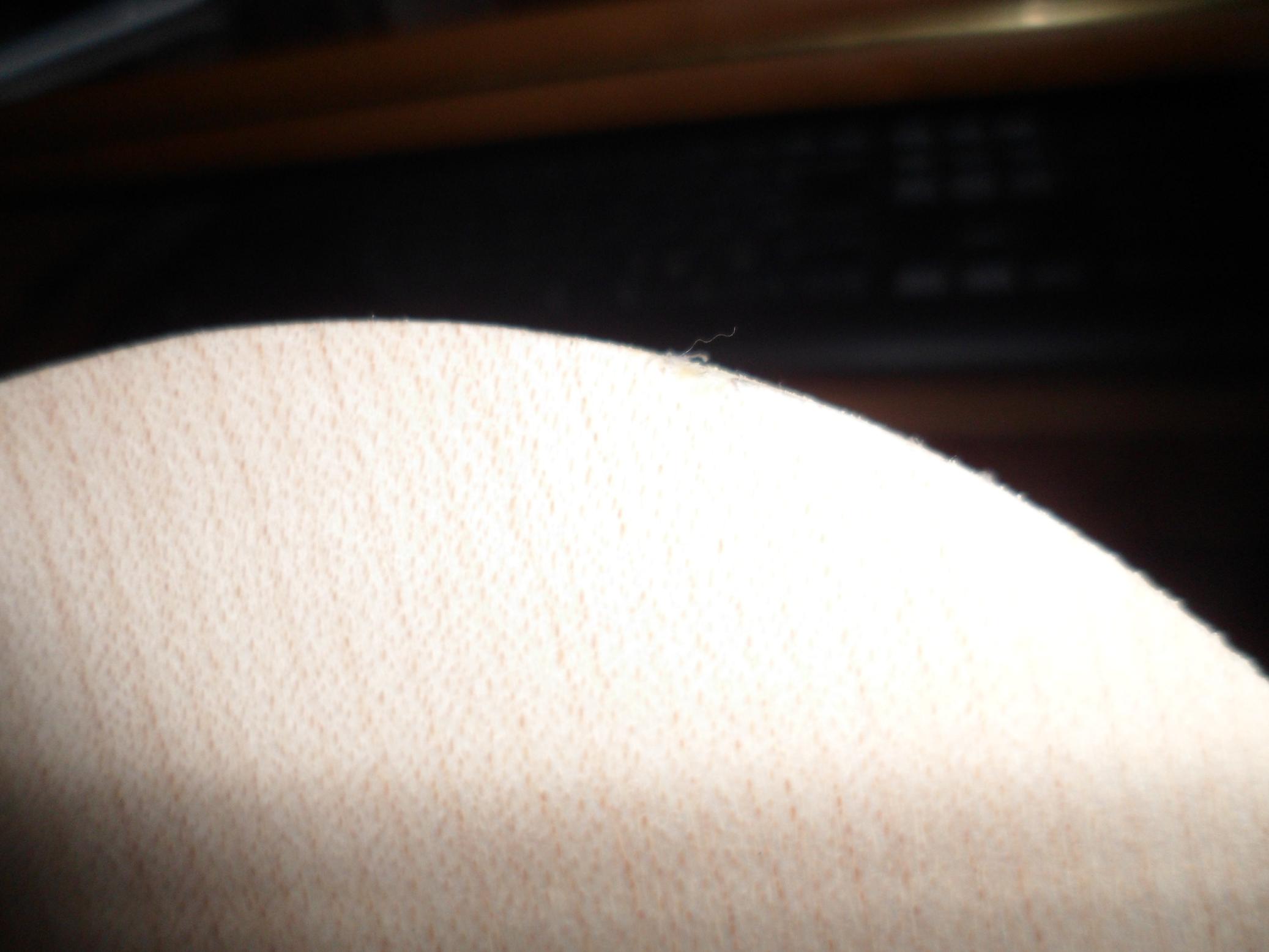 �����ۣ���ŷ����Ʒ˹�ٿ���ľ5��FL��