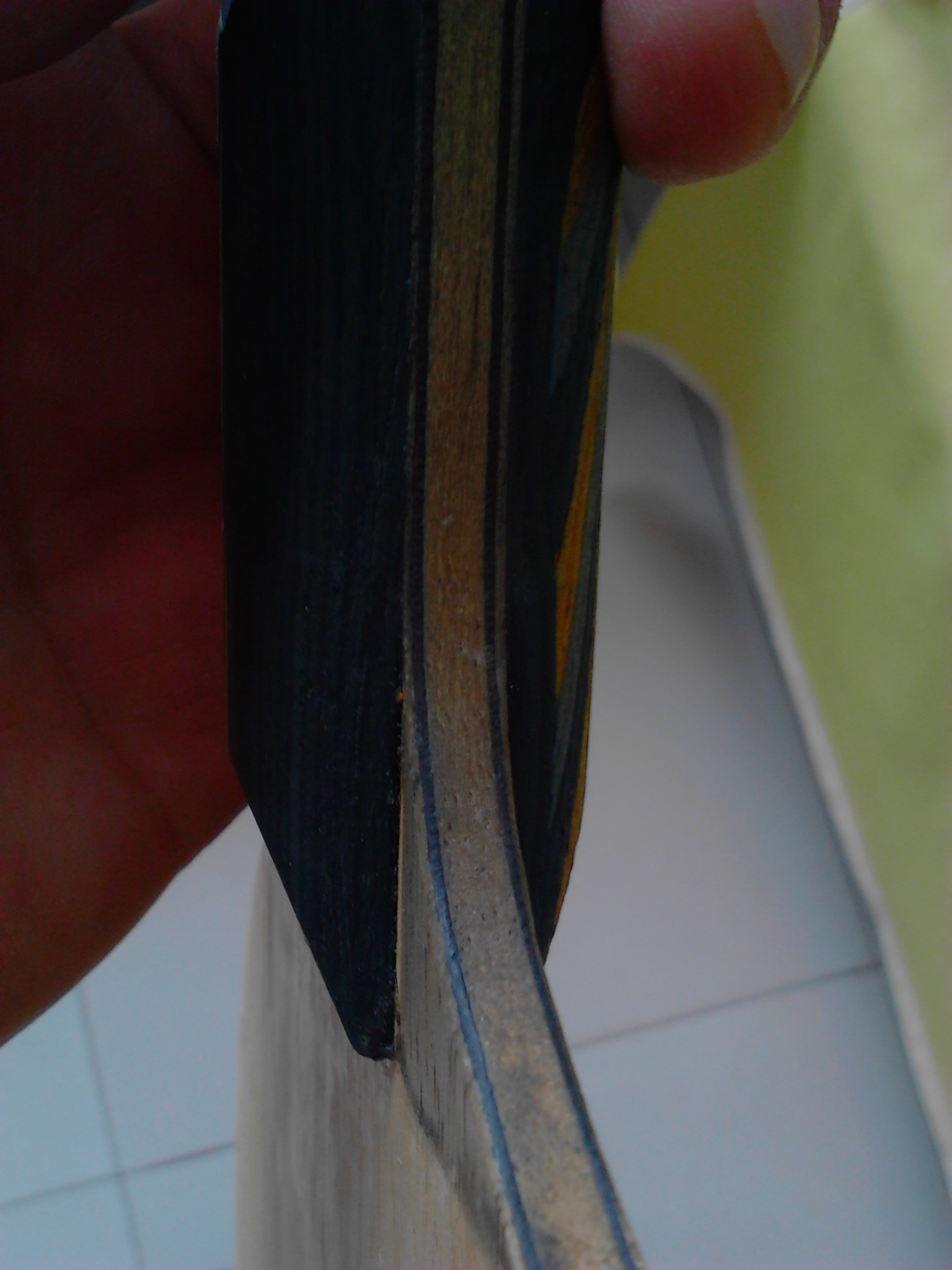 �����Һͻ��Ľ��׷���������ʼĩ