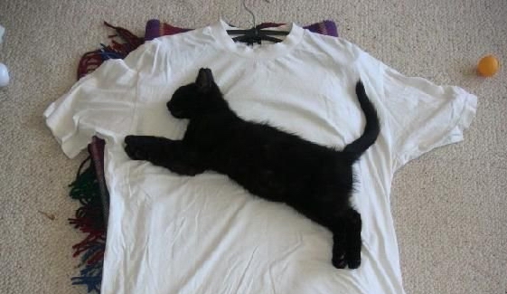 [ע��]���տ��㣺����VS��̫ ����VS��÷