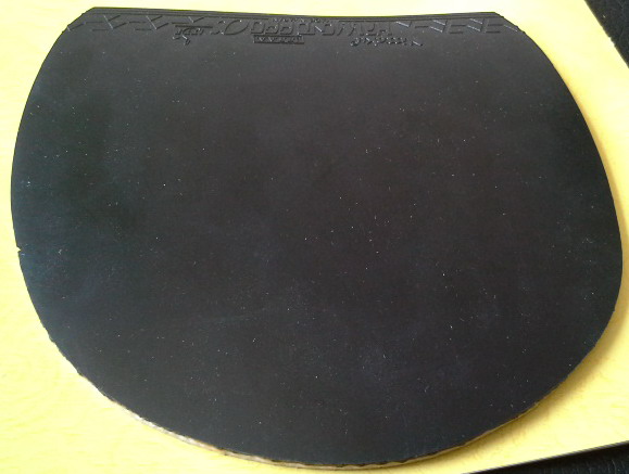 ~~~~~~~~~~~�ϰ���ke��ͥ��������������Ĳ�֪������ֱ�����ɽ�Ƥ�������鲻�����׽���2��ʡ��T64������������˺͹��ɵ°����������������M1��ͦ��VIP)~~~~~~~~~~�����550����~~~~