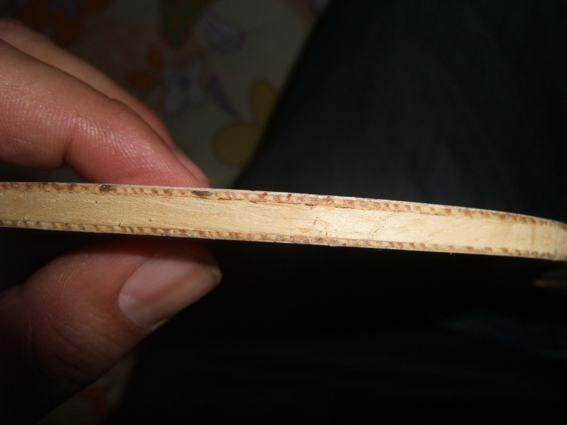 @@@@@@@@@@��������ר�Ұ�æ������һ�����ŷ���ľ5����ָ�л������Ⱥ������&&&&&