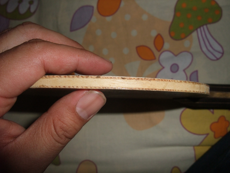 @@@@@@@@@@��������ר�Ұ�æ������һ�����ŷ���ľ5����ָ�л������Ⱥ������&&&&&