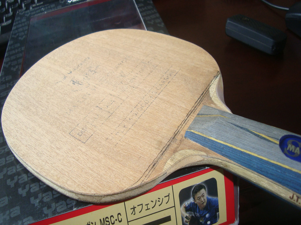 ������̼ysc