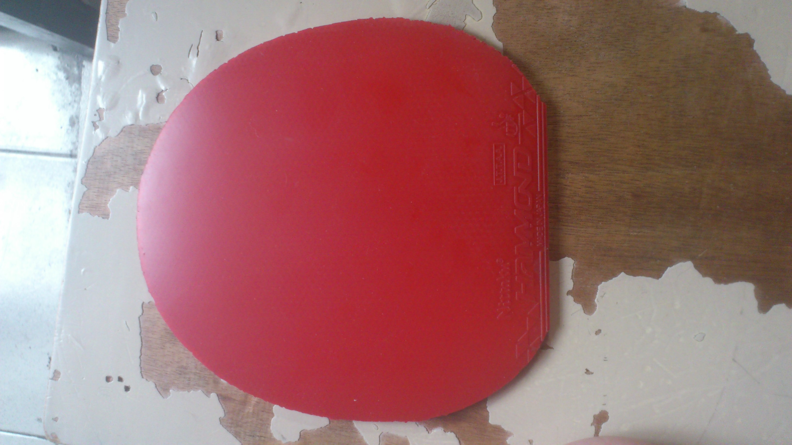 ���㶫��������̴5��t25��������