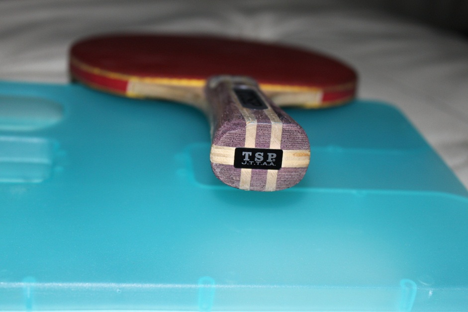 [ԭ��]�����NITTAKU��TSP���ġ��׽���YASAKAԭװ��